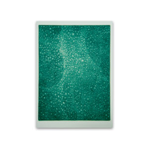 宝石の庭 Garden of Jewels 2026 ed.12 カラー・メゾチント 画：24x18cm 紙：26.6x19.6cm サムネ画像