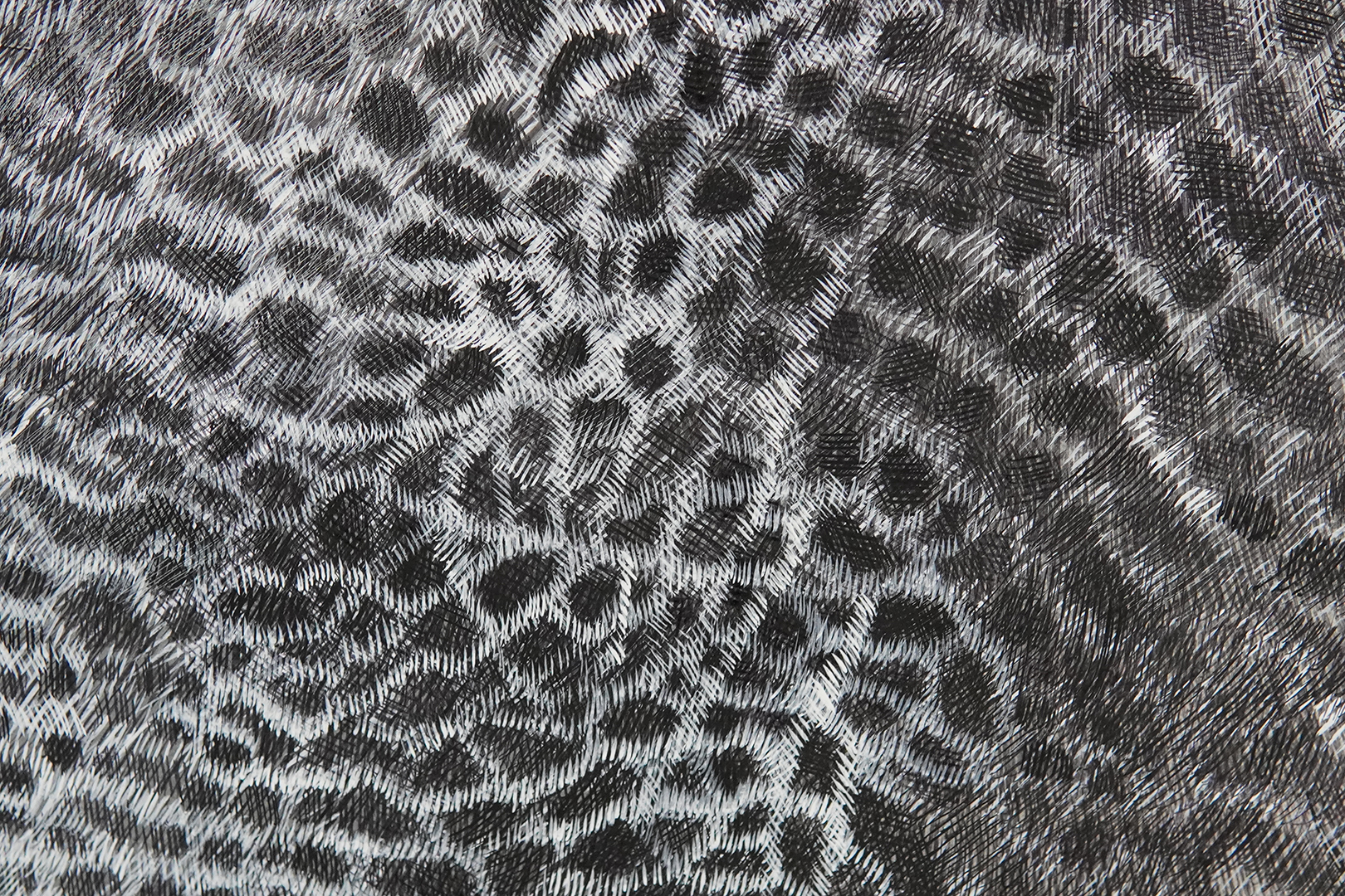 砂上の網羅 - 画像 (6)
