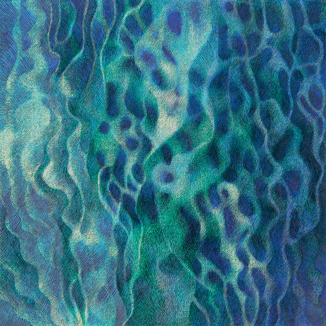 ゆらぎの森 - 画像 (2)