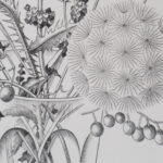 Kiyoshi HASEGAWA: Wildflowers in a Glass (Autumn)ルーブル美術館カルコグラフィー、サムネ